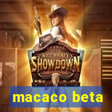 macaco beta