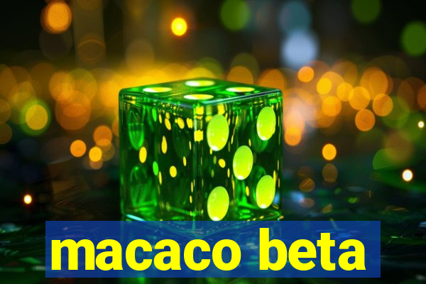 macaco beta