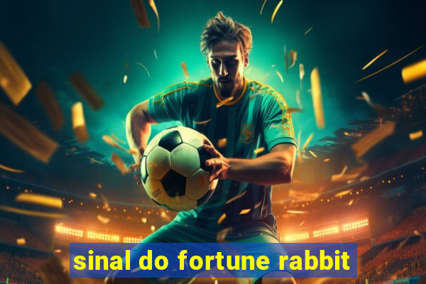 sinal do fortune rabbit