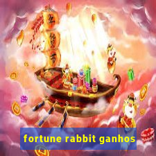 fortune rabbit ganhos