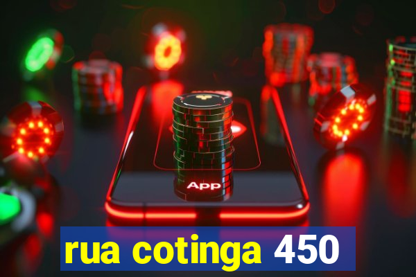 rua cotinga 450