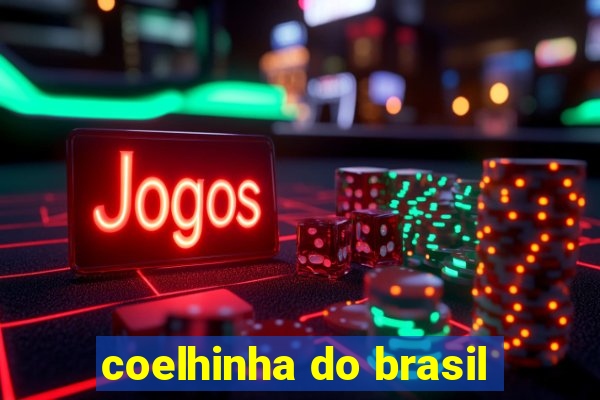 coelhinha do brasil