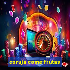 coruja come frutas