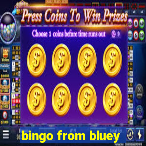 bingo from bluey