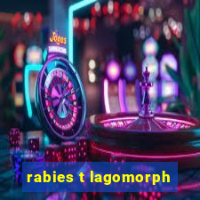 rabies t lagomorph