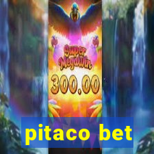 pitaco bet