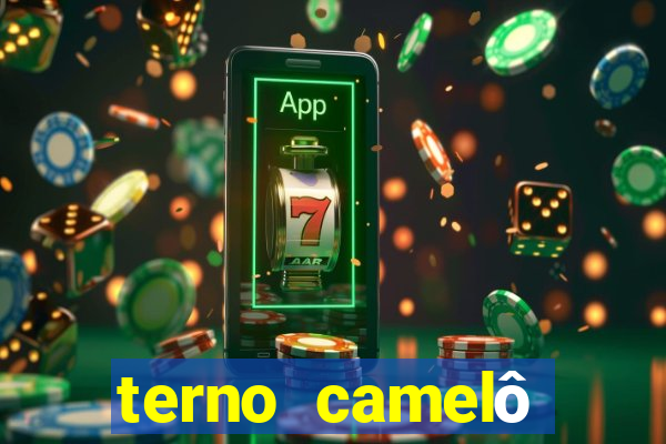 terno camelô silvio santos