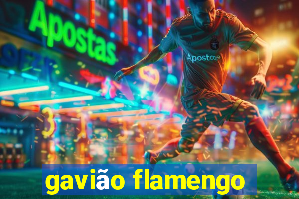 gavião flamengo