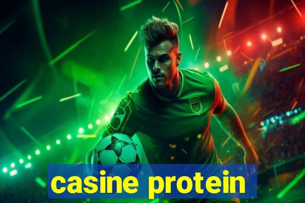 casine protein