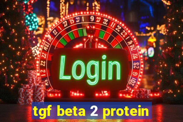 tgf beta 2 protein