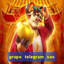 grupo telegram sao jose do rio preto