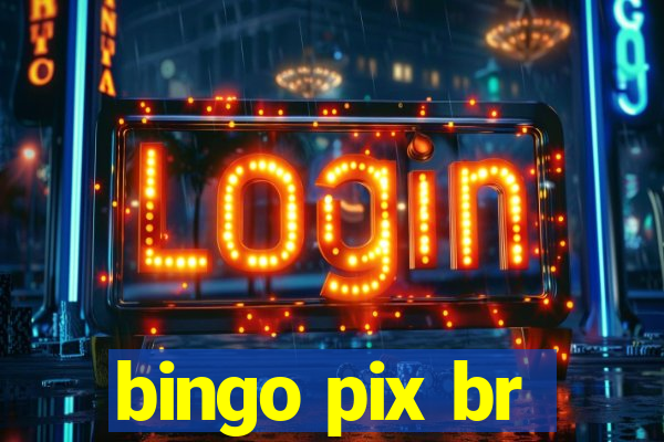 bingo pix br