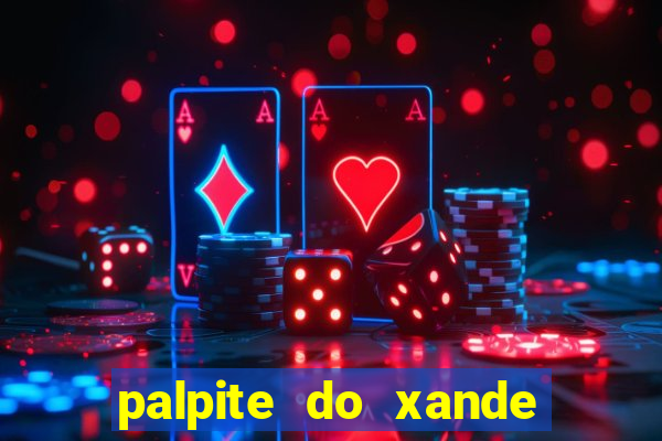 palpite do xande de hoje