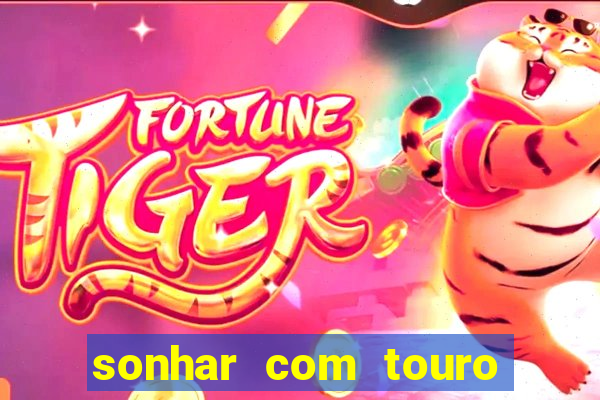 sonhar com touro mega sena