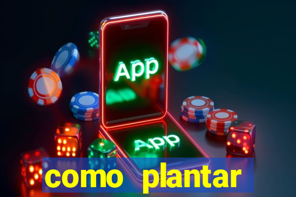 como plantar gergelim no vaso