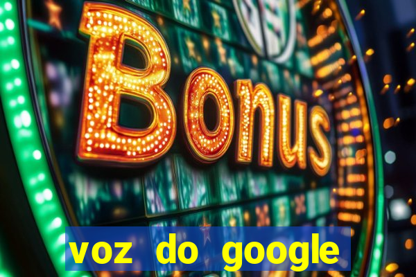 voz do google tradutor homem