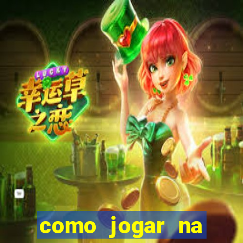 como jogar na roleta brasileira