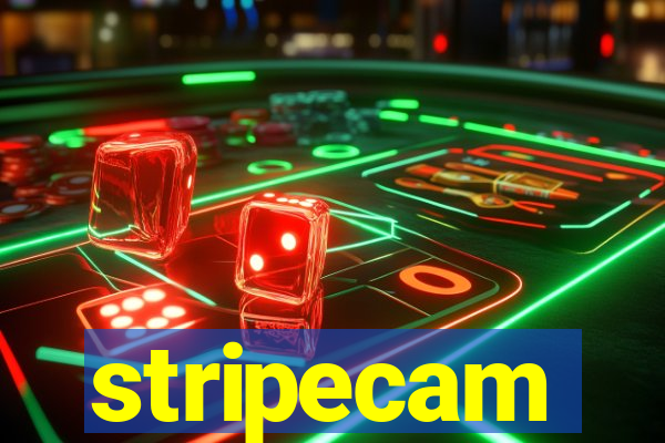 stripecam