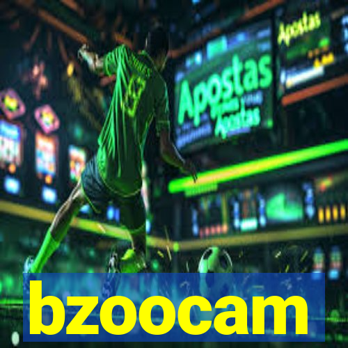 bzoocam