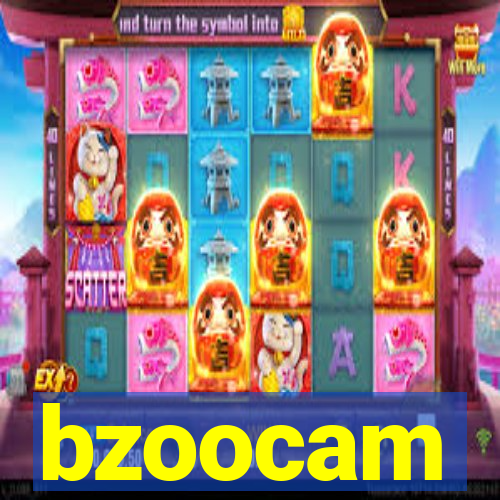 bzoocam