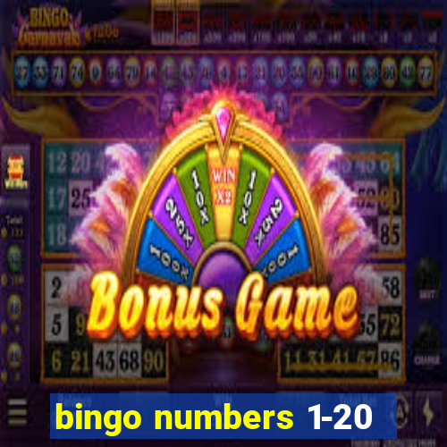 bingo numbers 1-20