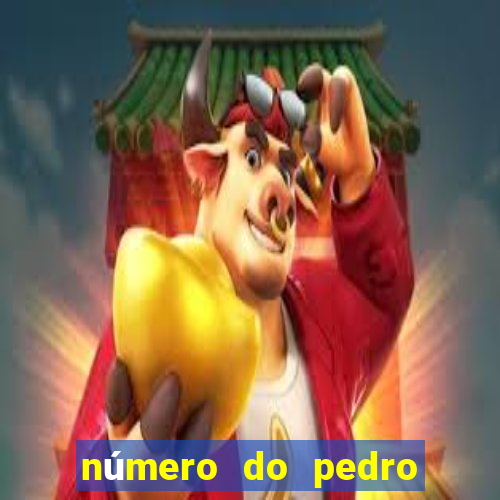 número do pedro do flamengo