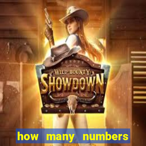 how many numbers in bingo