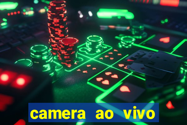 camera ao vivo terminal vila nova cachoeirinha