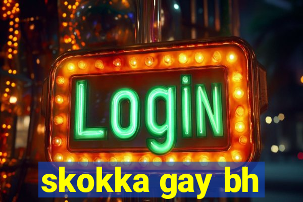 skokka gay bh