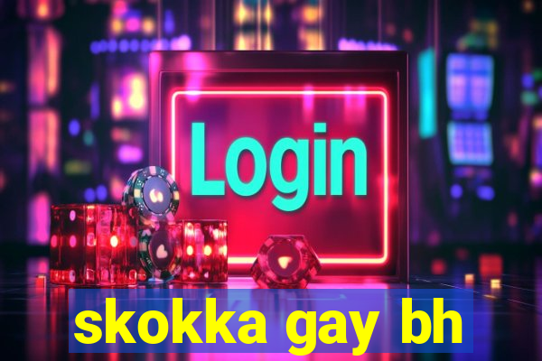 skokka gay bh