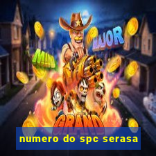 numero do spc serasa