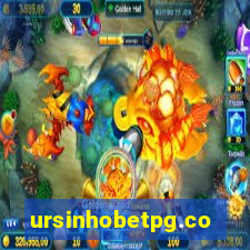 ursinhobetpg.com