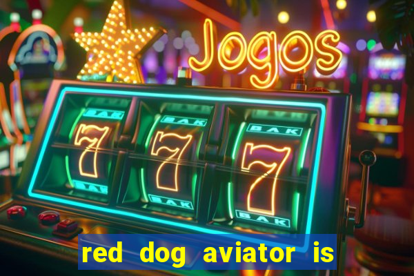 red dog aviator is real or fake