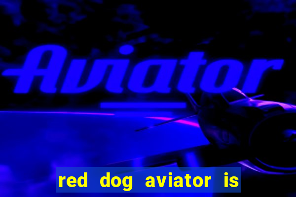 red dog aviator is real or fake