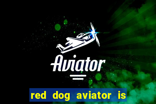 red dog aviator is real or fake