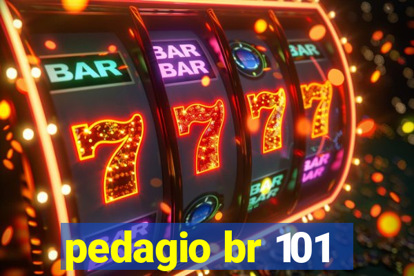 pedagio br 101