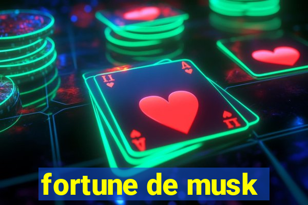 fortune de musk