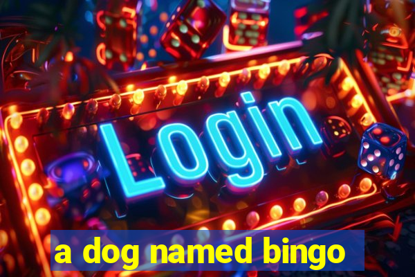 a dog named bingo