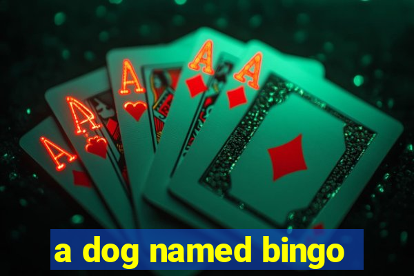 a dog named bingo