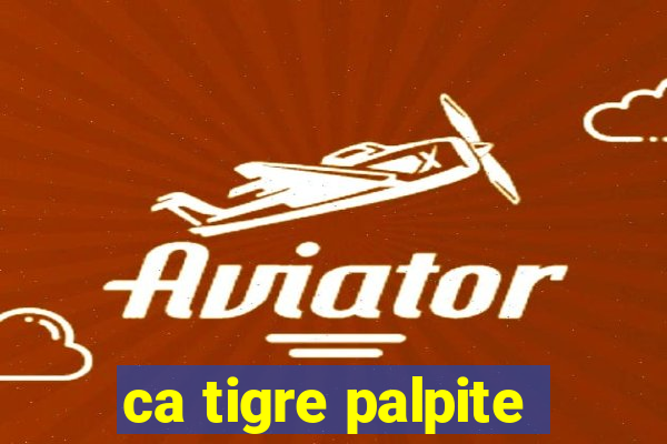 ca tigre palpite