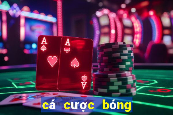 cá cược bóng đá online