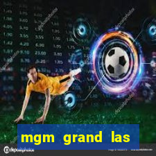 mgm grand las vegas casino