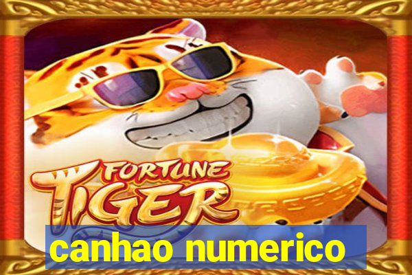 canhao numerico