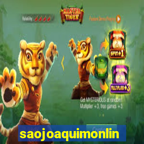 saojoaquimonline