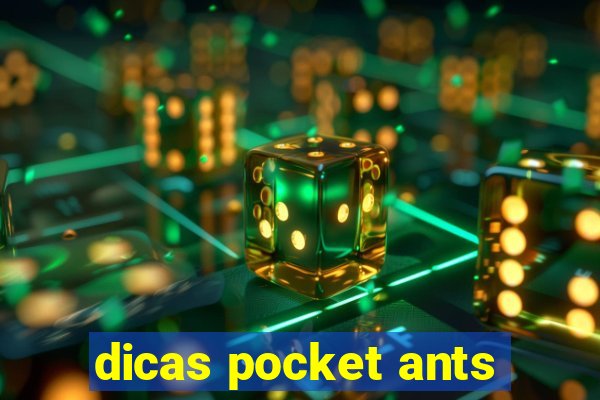 dicas pocket ants