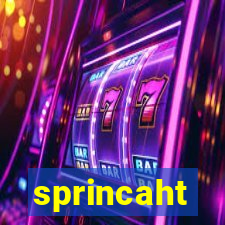 sprincaht