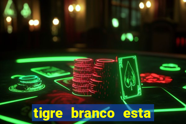 tigre branco esta em extinção