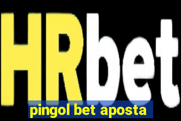 pingol bet aposta