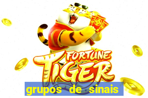 grupos de sinais fortune tiger