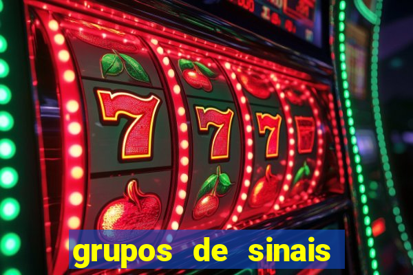 grupos de sinais fortune tiger